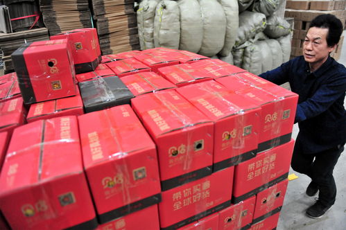 湖北宜昌 節前電商賣橙忙