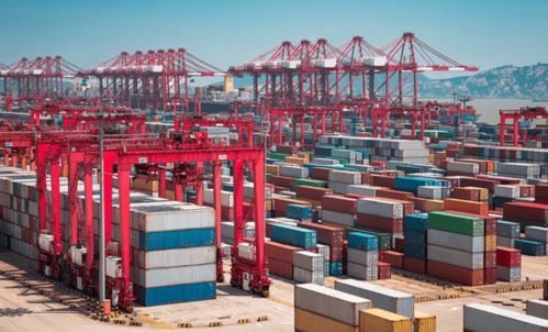 德國貿易商 擔心中國廠家春節休息,加快預訂中國防疫產品